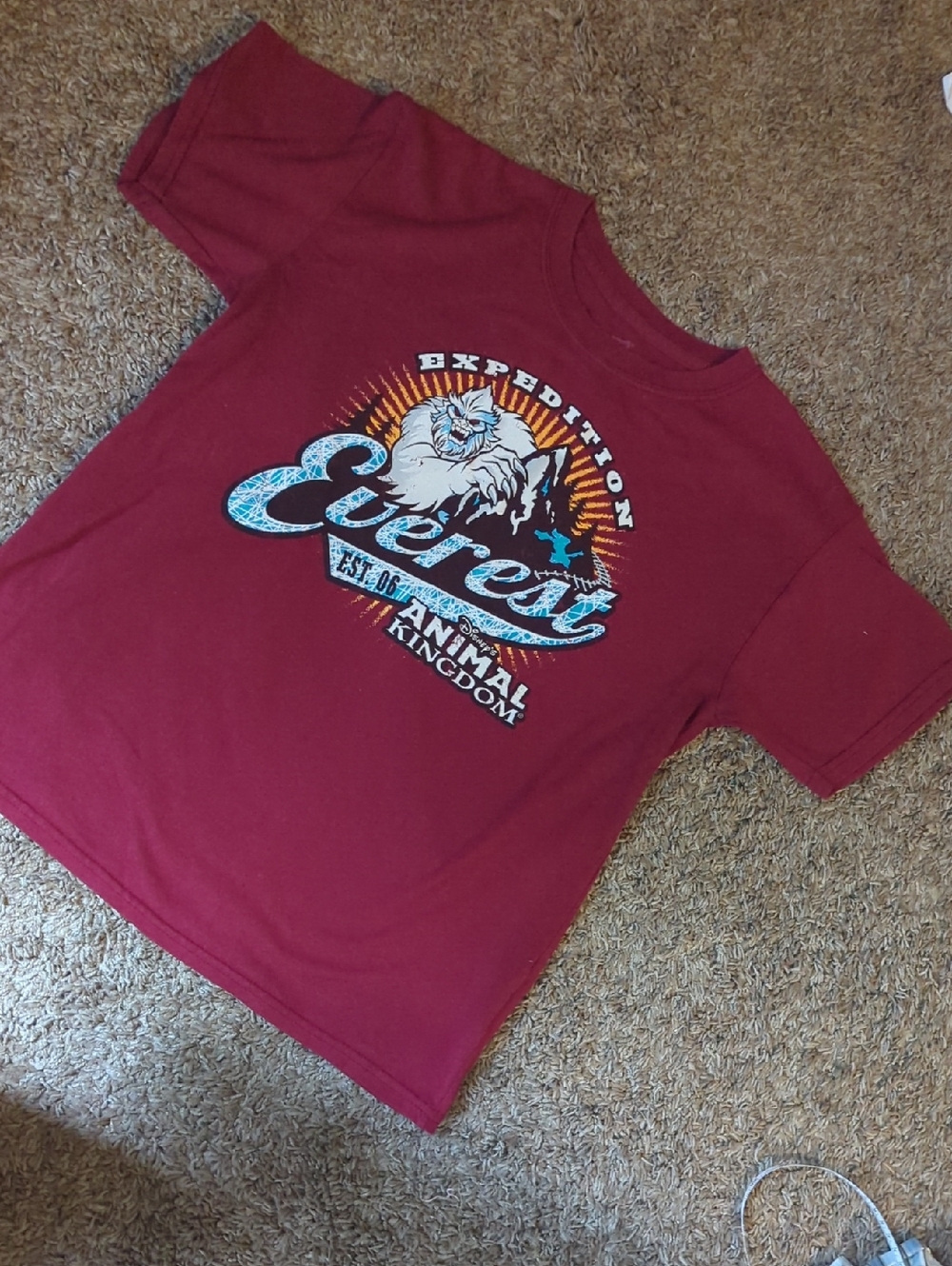 Kids' Red Graphic Tee - Animal Kingdom